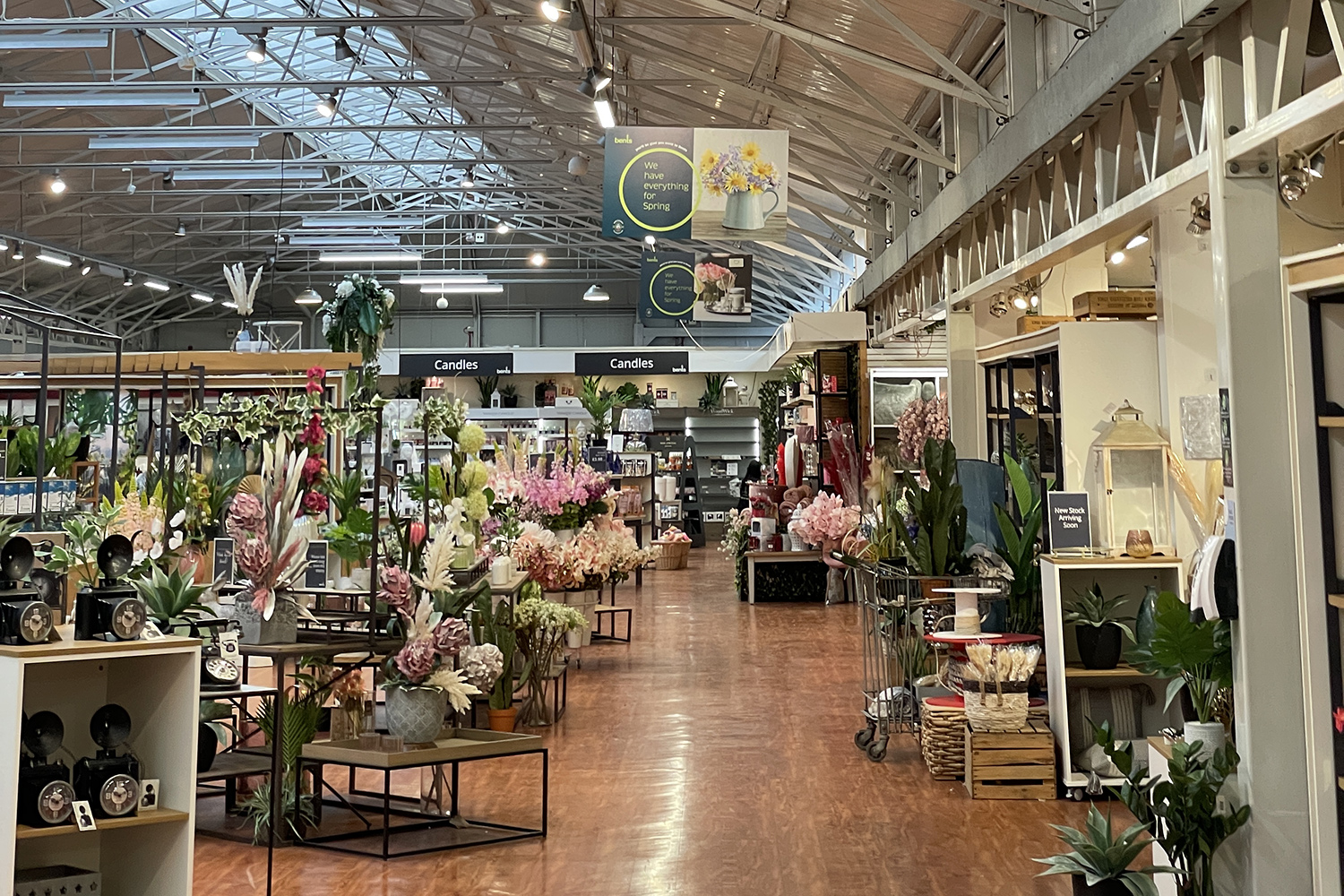 Campaign creation and brand positioning for leading garden centre House